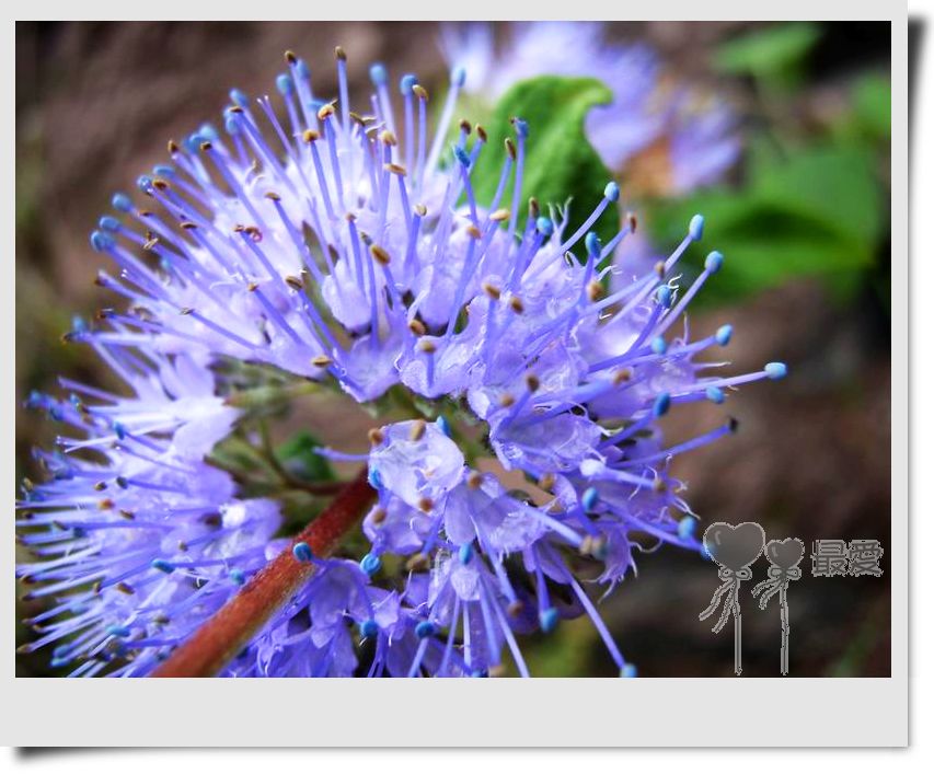 �Ұ�...���ڿ���ɽ�������·��