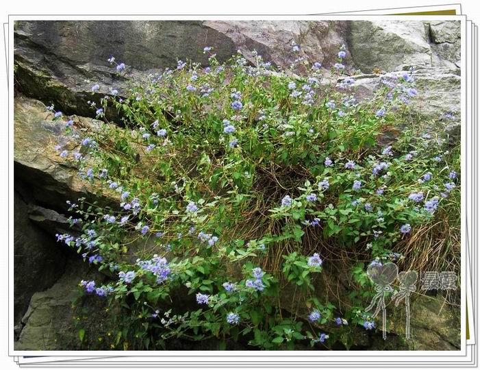 �Ұ�...���ڿ���ɽ�������·��