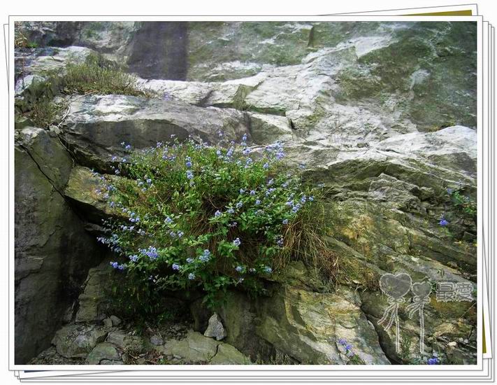 �Ұ�...���ڿ���ɽ�������·��