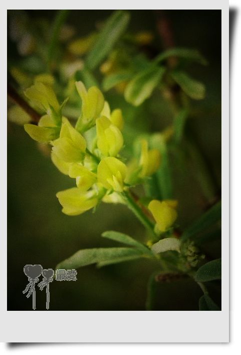 �Ұ�...���ڿ���ɽ�������·��