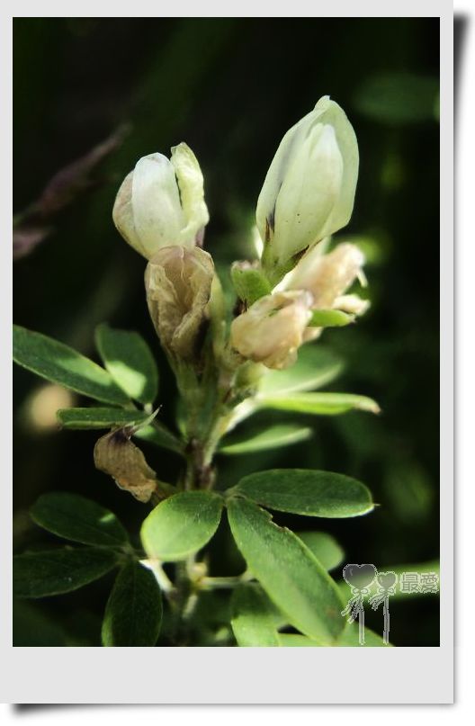 �Ұ�...���ڿ���ɽ�������·��