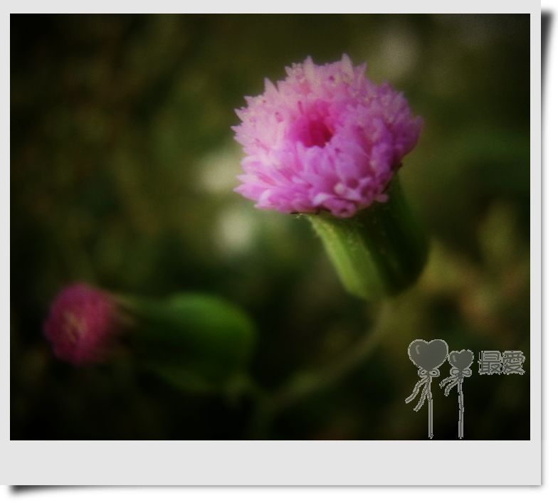 �Ұ�...���ڿ���ɽ�������·��