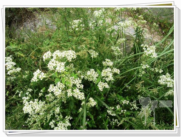 �Ұ�...���ڿ���ɽ�������·��