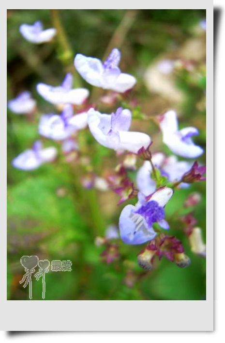 �Ұ�...���ڿ���ɽ�������·��