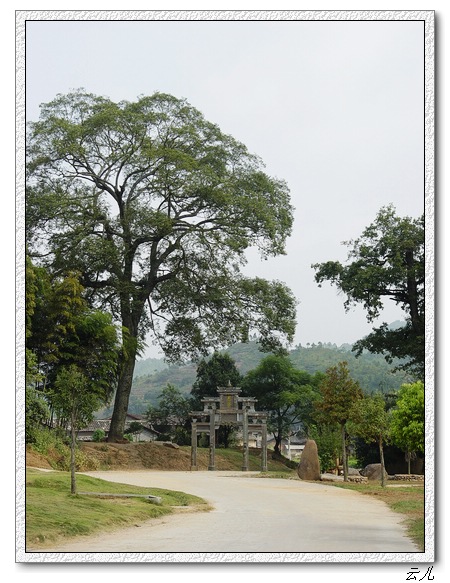 ��ɢ�Լ�������