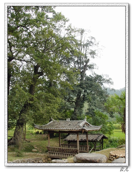 ��ɢ�Լ�������