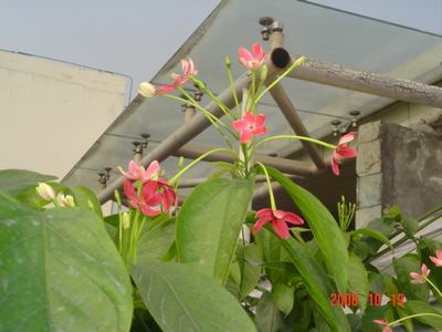 ����Ļ�(ʹ�����ٶȿ���18ҳ)