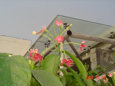 ����Ļ�(ʹ�����ٶȿ���18ҳ)