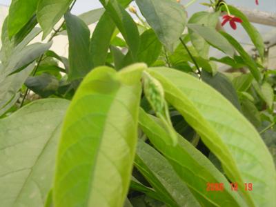 ����Ļ�(ʹ�����ٶȿ���18ҳ)