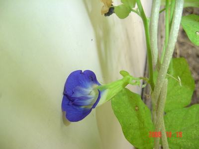 ����Ļ�(ʹ�����ٶȿ���18ҳ)