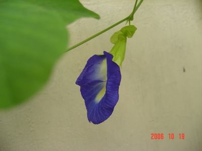 ����Ļ�(ʹ�����ٶȿ���18ҳ)