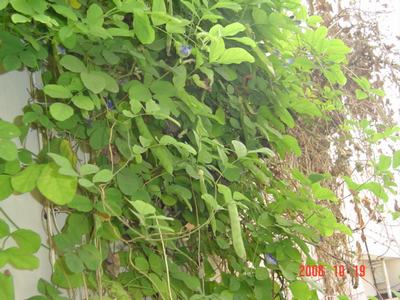 ����Ļ�(ʹ�����ٶȿ���18ҳ)