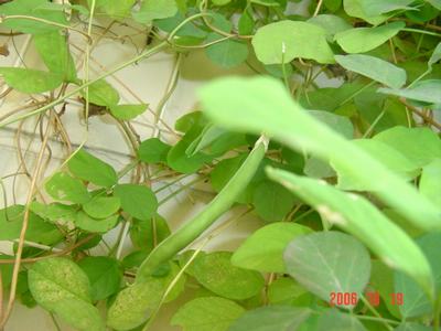 ����Ļ�(ʹ�����ٶȿ���18ҳ)