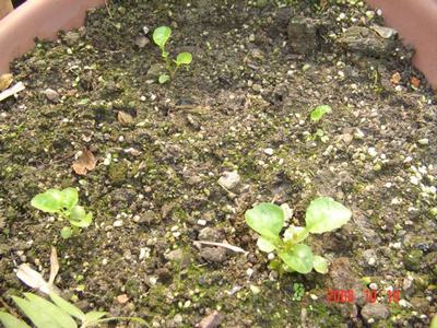 ����Ļ�(ʹ�����ٶȿ���18ҳ)