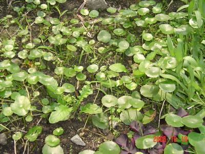 ����Ļ�(ʹ�����ٶȿ���18ҳ)