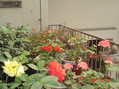 ����Ļ�(ʹ�����ٶȿ���18ҳ)