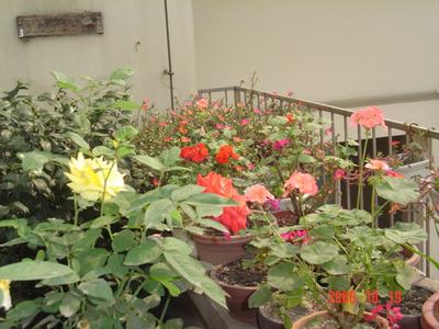 ����Ļ�(ʹ�����ٶȿ���18ҳ)