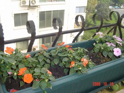 ����Ļ�(ʹ�����ٶȿ���18ҳ)