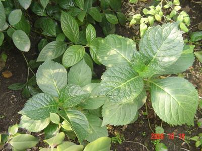 ����Ļ�(ʹ�����ٶȿ���18ҳ)