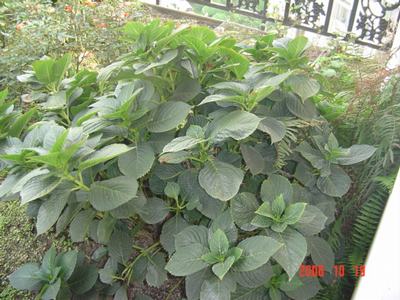 ����Ļ�(ʹ�����ٶȿ���18ҳ)