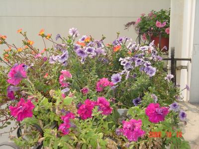 ����Ļ�(ʹ�����ٶȿ���18ҳ)