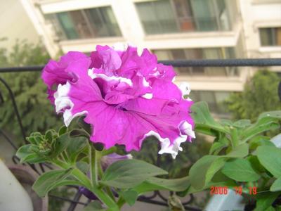 ����Ļ�(ʹ�����ٶȿ���18ҳ)