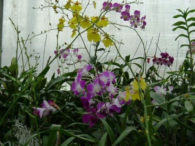 ���������ؿ���������......