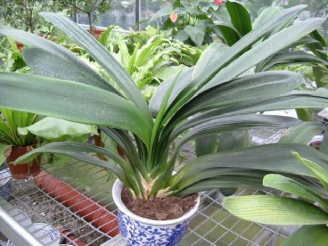 ���������ؿ���������......