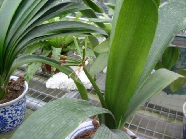 ���������ؿ���������......