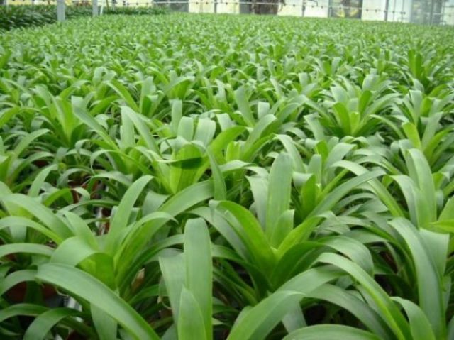 ���������ؿ���������......