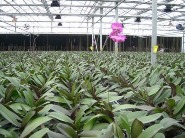 ���������ؿ���������......