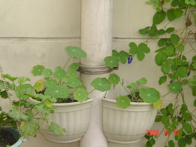 �ɰ��Ľ���(16ҳ����)