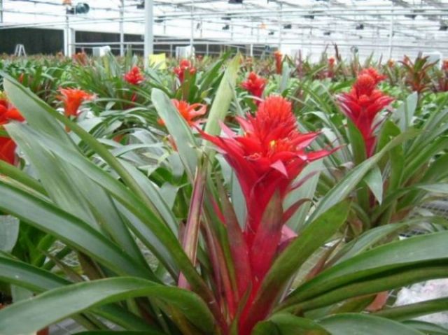 ���������ؿ���������......