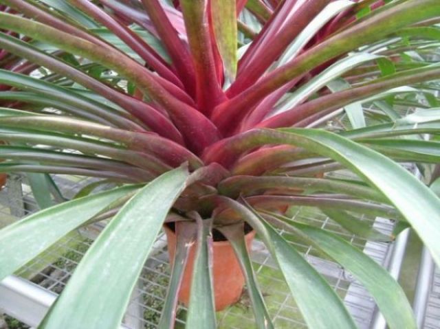 ���������ؿ���������......