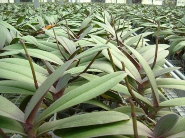 ���������ؿ���������......