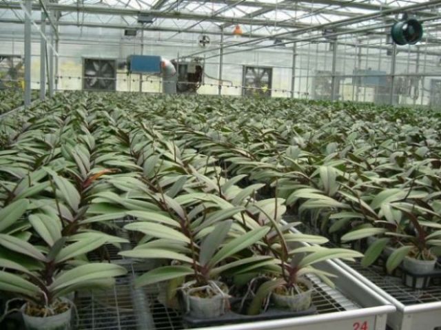 ���������ؿ���������......