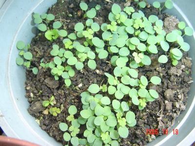 ����Ļ�(ʹ�����ٶȿ���18ҳ)