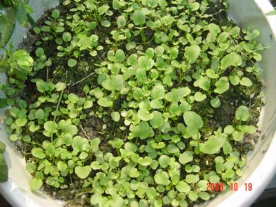 ����Ļ�(ʹ�����ٶȿ���18ҳ)