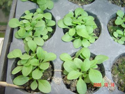 ����Ļ�(ʹ�����ٶȿ���18ҳ)