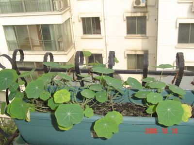 �ɰ��Ľ���(16ҳ����)