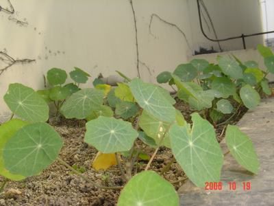 �ɰ��Ľ���(16ҳ����)