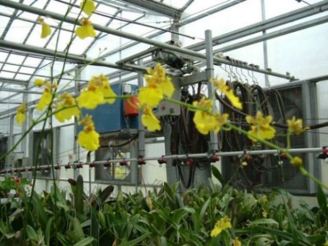 ���������ؿ���������......