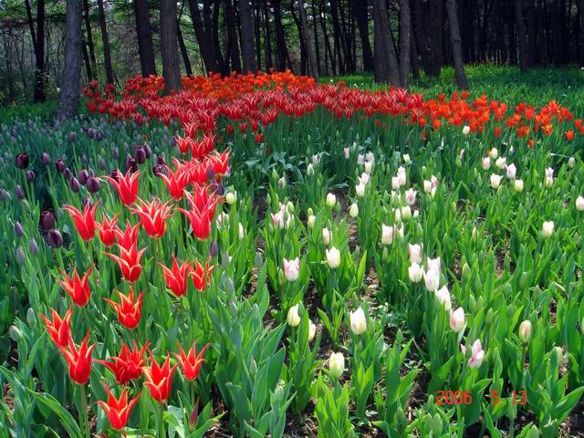 [ԭ��]������԰��--�ջ�ƪ