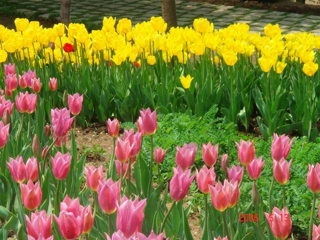 [ԭ��]������԰��--�ջ�ƪ