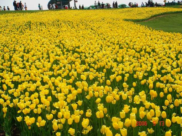 [ԭ��]������԰��--�ջ�ƪ