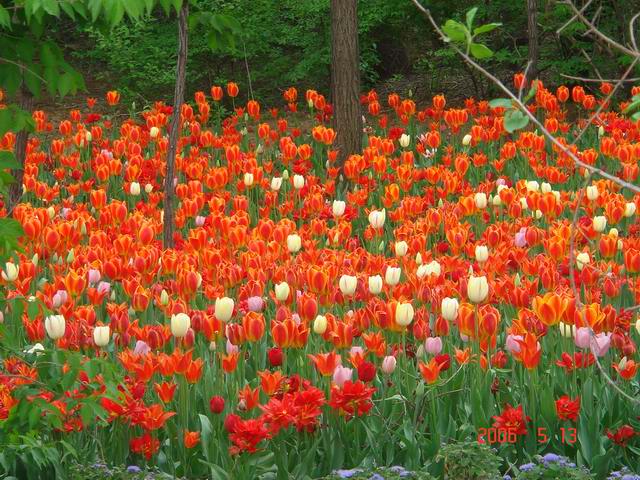 [ԭ��]������԰��--�ջ�ƪ