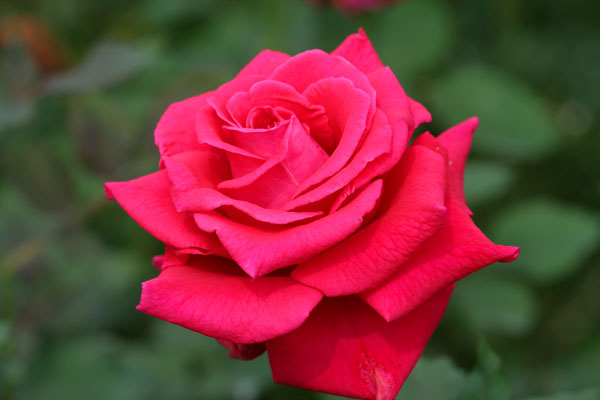 �¼���������ʯ���06.10.20