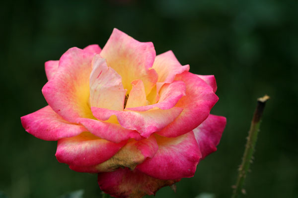 �¼���������ʯ���06.10.20