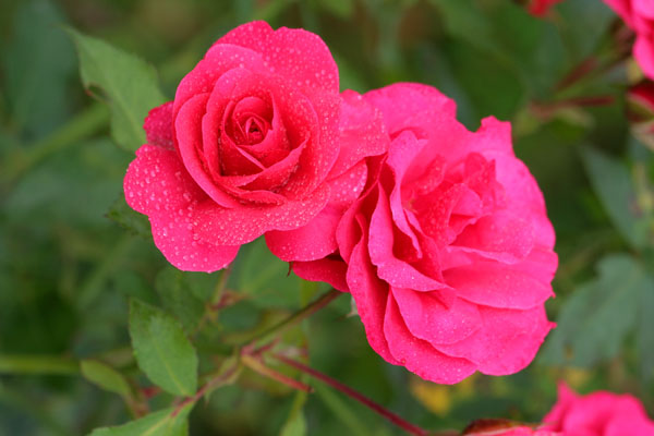 �¼���������ʯ���06.10.20