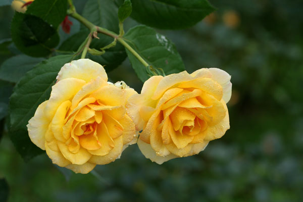 �¼���������ʯ���06.10.20